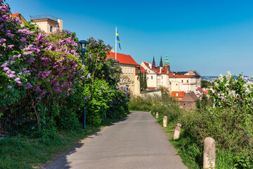 Panoramic view of Prague featuring historic castle and vibrant rooftops on a sunny day in summer. View of Prague, Czech Republic, showcasing the city's iconic architecture and red-tiled roofs.