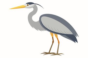 Fototapeta premium Gray heron bird vector design