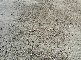 Natural sea coral fragments on a beautiful beach