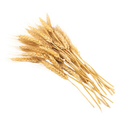 Fototapeta premium Dried Wheat Stalks Bundled Together for Decorative Purposes