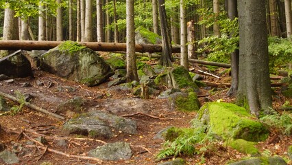 Slężański Park Krajobrazowy © Sebastian Bugzel