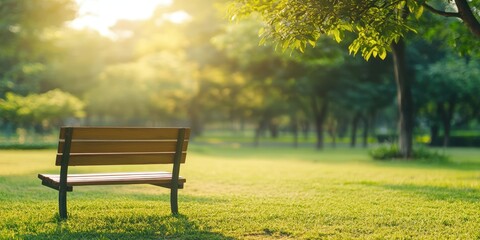 Naklejka premium A tranquil park scene featuring a wooden bench surrounded by lush green grass and trees, illuminated by warm sunlight.
