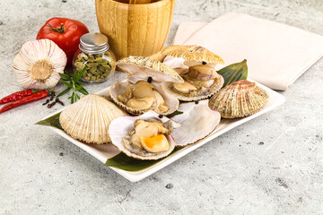 Raw fresh scallops in the shell