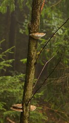 Slężański Park Krajobrazowy