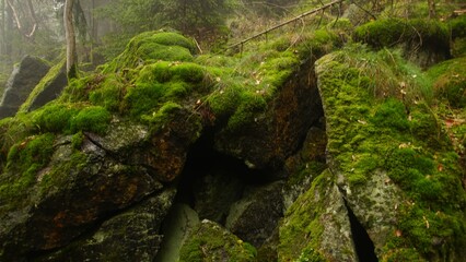 Slężański Park Krajobrazowy