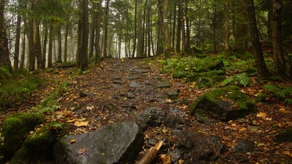 Slężański Park Krajobrazowy © Sebastian Bugzel