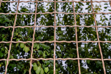 Metal grille, garden fence, tree leaves.