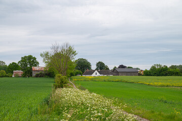 Village of Keldby in island of Mon in Denmark