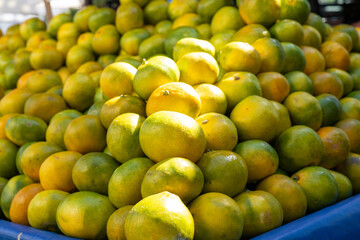 Fresh citrus fruits stacked in a vibrant blue crate at a local market during midday