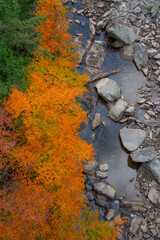 Fototapeta premium Magnificent autumn landscapes in the Canadian countryside in the province of Quebec