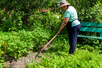 Farmer Loosening Soil with Hoe on Rural Farm