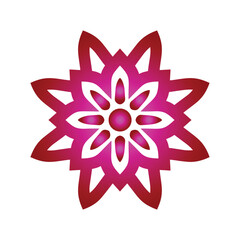 red, pink mandala vector design 