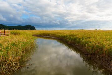 beautiful afternoon view of dadaepo beach in korea
