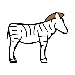 zebra animal line icon vector. zebra animal sign. isolated symbol illustration