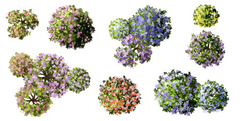 Vertor set of spring blossom tree,blooming plants top view for landscape plan,schematic layout,eco environment concept design,watercolor sakura illustration