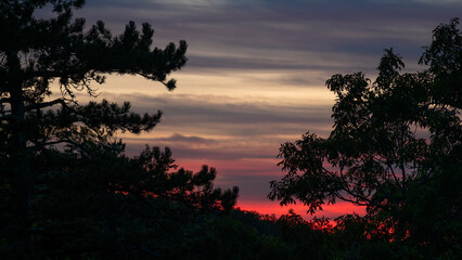 Atmospheric afterglow behind trees in silhouette.