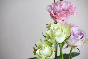 薔薇とトルコ桔梗