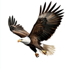Obraz premium Zoom in on a majestic eagle in flight
