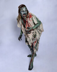portrait of scary female model wearing spooky halloween costume wearing, ripped clothes and fake...