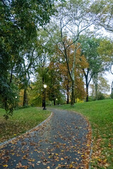 Central Park in Autumn