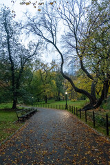 Central Park in Autumn