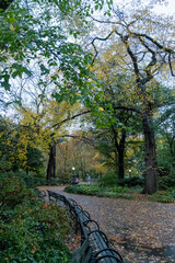 Central Park in Autumn