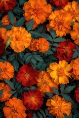 Fototapeta premium A bouquet of vibrant orange and red flowers with lush green leaves