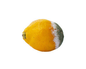 lemon with mold on a white background, ugly food