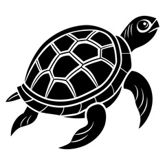 turtle vector illusrtration