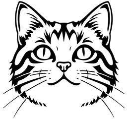 Black Drawing of Cats Head Isolated on White Background