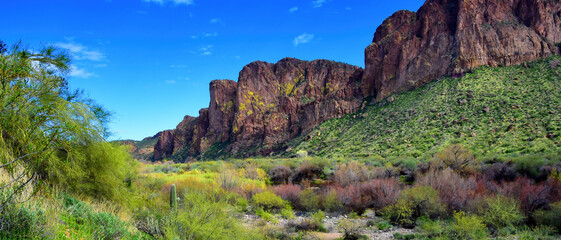 Salt River Recreation Area Arizona
