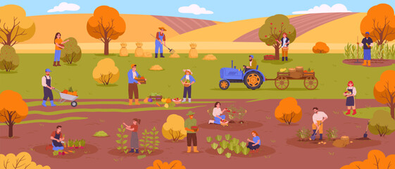 Farmland harvesting. Rural agriculture workers picking harvest and making hay, agriculture fall harvest flat vector background illustration. People work on farm