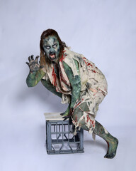 full length portrait of scary female model wearing spooky halloween costume wearing, ripped clothes...