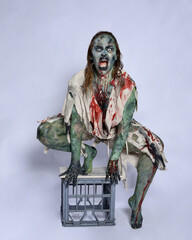 full length portrait of scary female model wearing spooky halloween costume wearing, ripped clothes...