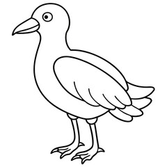 Obraz premium A drawing of a bird that has the word quot bird quot on transparent backroad