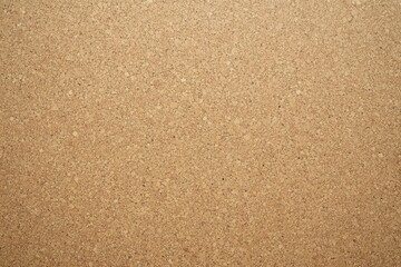 Textured Close-Up of Sandy Brown Background