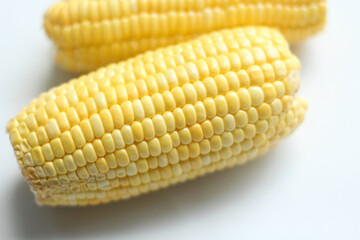 Top View Fresh Corn Cobs Isolated on White Background. Selective Focus.