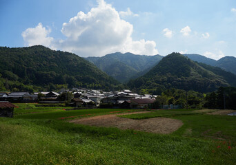 秋の泉佐野市の大木農村地域の美しい風景