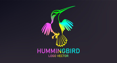 Vector color logo. Simple bright rainbow graphic stylistic hummingbird bird. Corporation emblem. Dark isolated background.