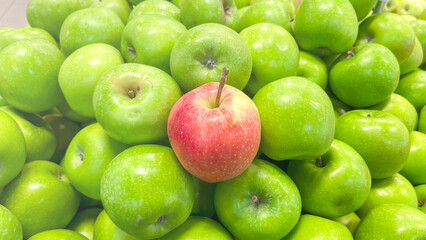 A single red apple is placed in the middle of a pile of green apples. Concept of contrast and individuality, as the red apple stands out among the green ones