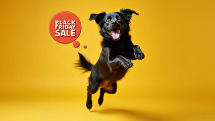 Black animals calling for Black Friday sale. Jumping dog isolated on yellow background. Marketing, promoting deals, boosting sales concept.