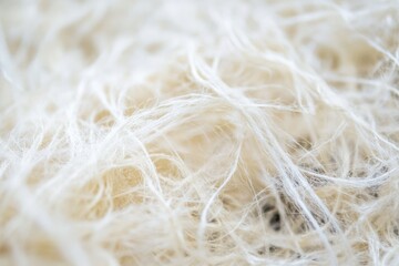 Close-up of Soft, White Fibers on Textured Background