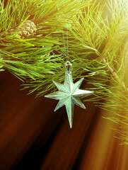 Christmas bauble ,cristmas star