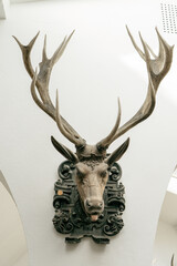 skull and horns on the wall