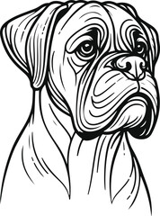 Line art Boxer dog Collections poses in freehand drawing vector illustration