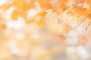 Fototapeta premium Orange and yellow autumn leaves hanging from a branch against a blurred, bokeh background.
