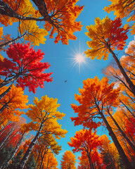 Autumn forest with colorful leaves on blue sky background. Fall season concept.