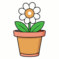 a flower pot white background.