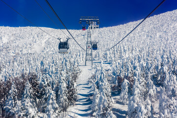 Ropeway and gondola through frozen, snow covered trees on a clear day © whitcomberd