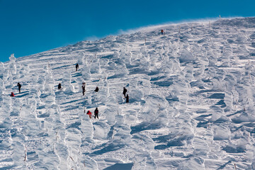 Hikers exploring the natural snow sculptures at Zao Onsen on a cold, clear winter day